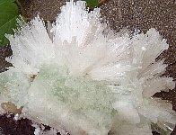 �����쥵���ȡܥ��꡼�󥢥ݥե��饤��