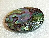 レインボーシェル