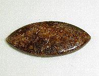 �֥��󥶥��ȡ�03