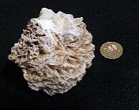 フジヤマゼオライト(スコレサイト):12